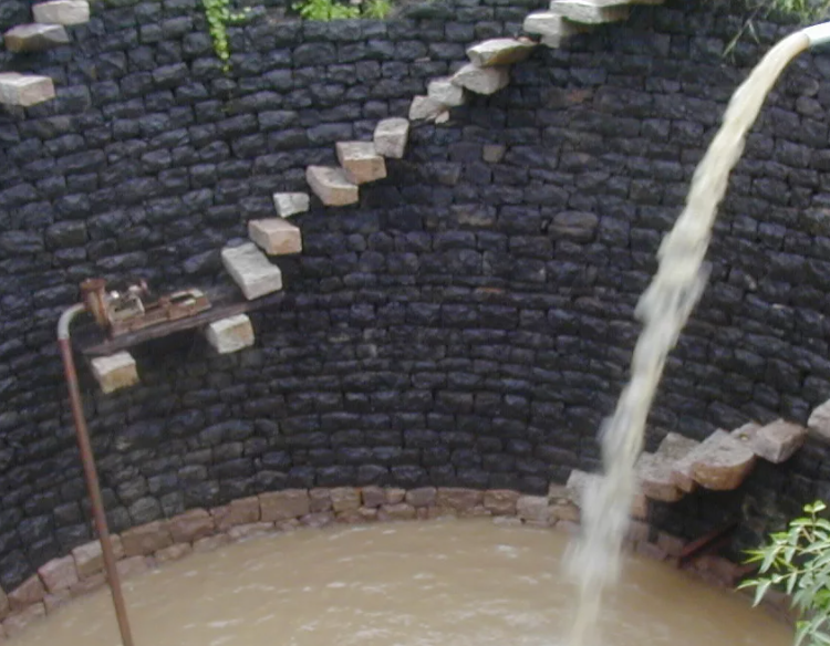 地表水中快速檢測糞大腸菌群的方法 地表水中快速檢測糞大腸菌群的方法