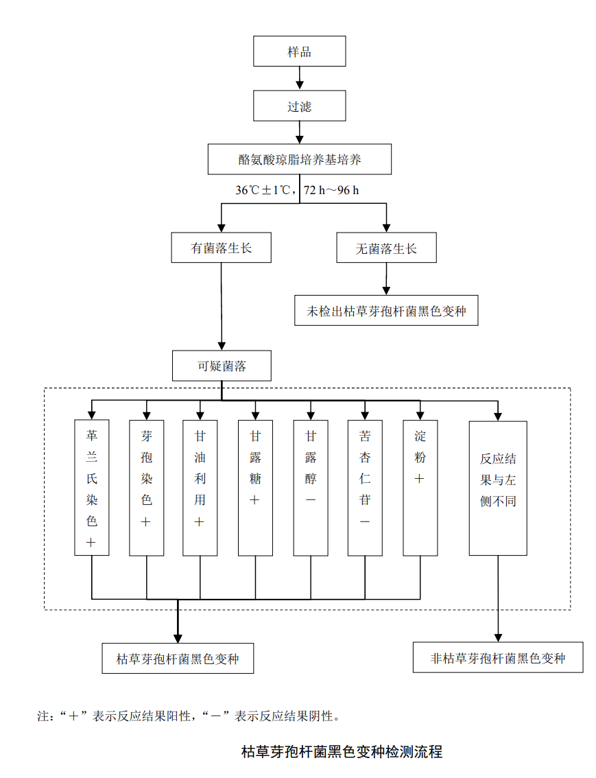 檢測水中滅菌生物指示物(枯草芽孢桿菌黑色變種)的具體方法 檢測水中滅菌生物指示物(枯草芽孢桿菌黑色變種)的具體方法