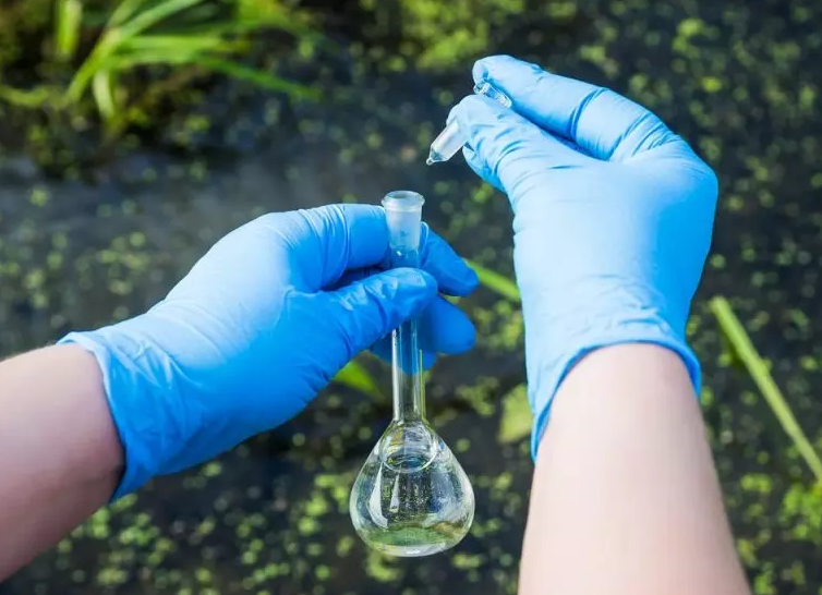 精準檢測地表水中浮游植物的方法 精準檢測地表水中浮游植物的方法
